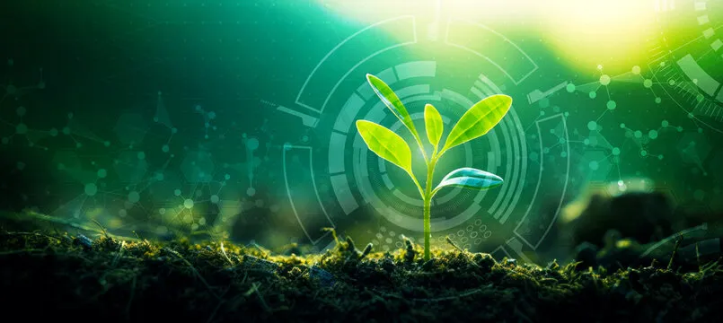 Intelligent Crop Irrigation Advisor